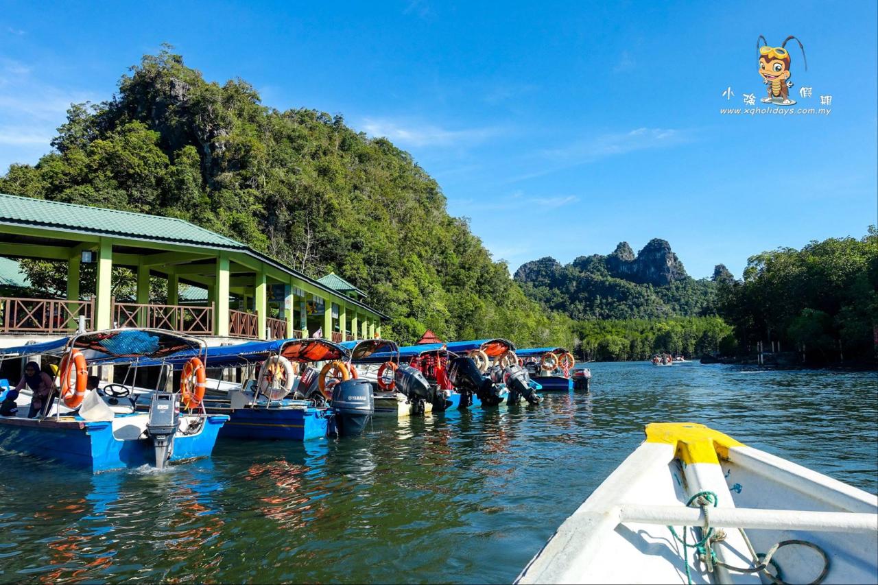 Mangrove tour langkawi